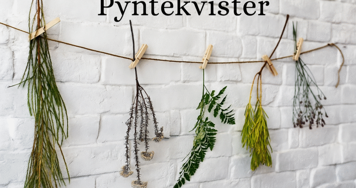 Pyntekvister: Natural Decorative Branches for Stylish Living