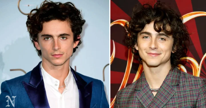 timothy shalloway movies — A Complete Guide for Movie Lovers