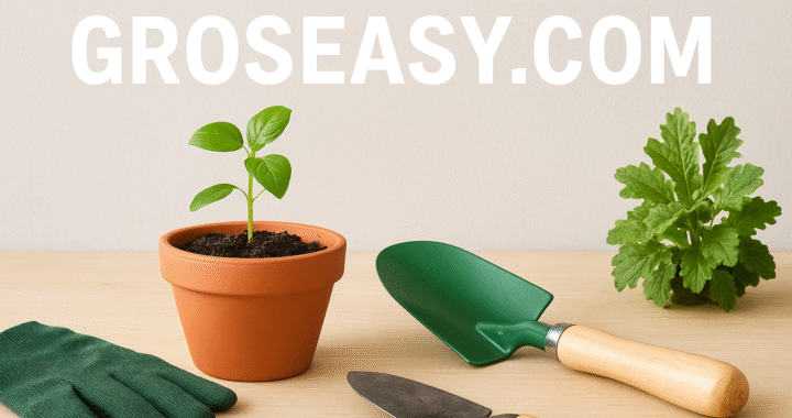 Grosseasy com: Your Gateway to Simple Urban Gardening and Home Projects